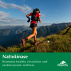 Nattokinase 2000FU