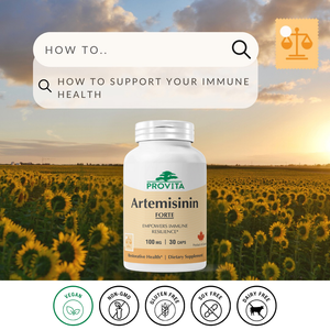 Artemisinin Forte