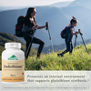 Endothione™