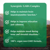 Synergistic GABA Complex